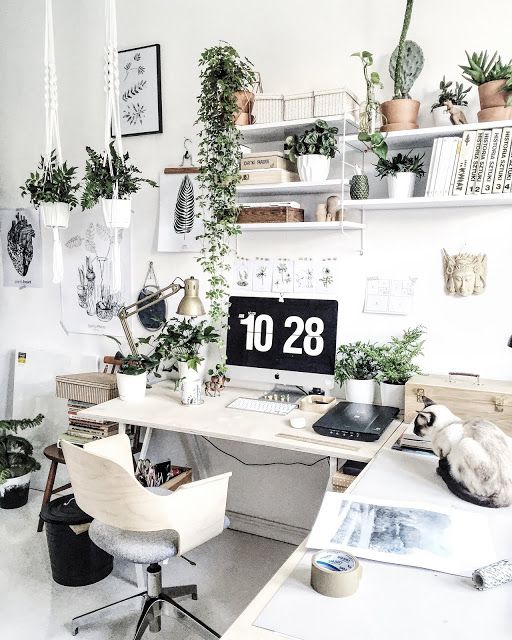 Escritorio de trabajo luminoso con ordenador, plantas en estantes y macetas, silla giratoria y lámpara; gato blanco sobre la mesa.